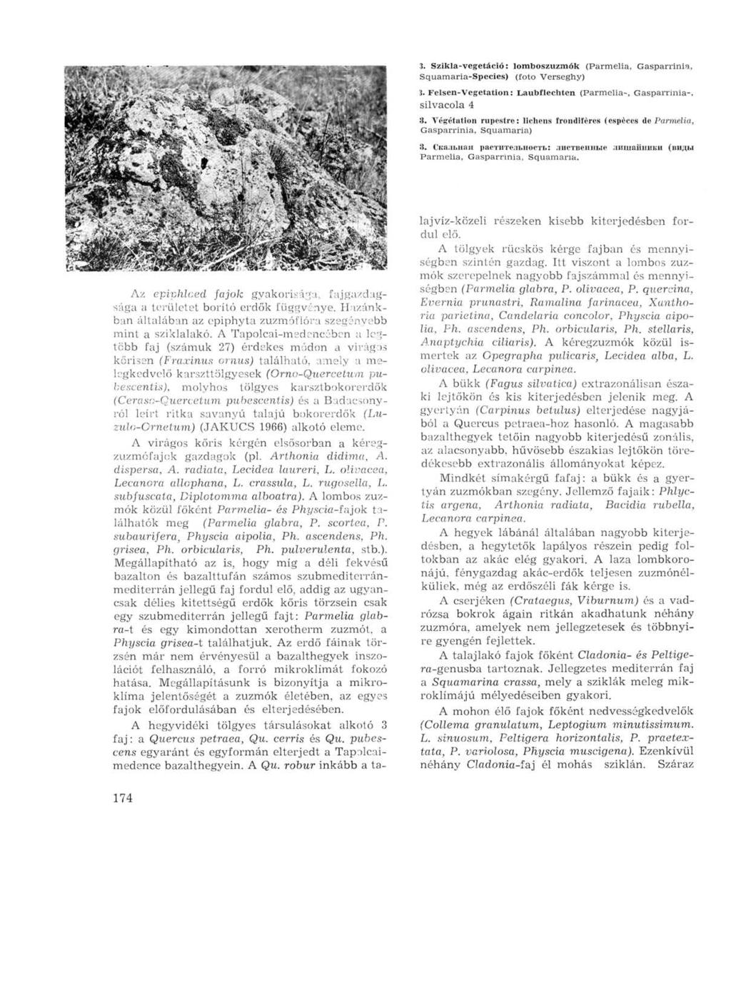 3. Szikla-vegetáció: lomboszuzmók (Parmelia, Gasparrinia, Squamaria-Species) (foto Verseghy) 3. Felsen-Vegetation: Laubflechten (Parmelia-, Gasparrinia-, silvacola 4 3.