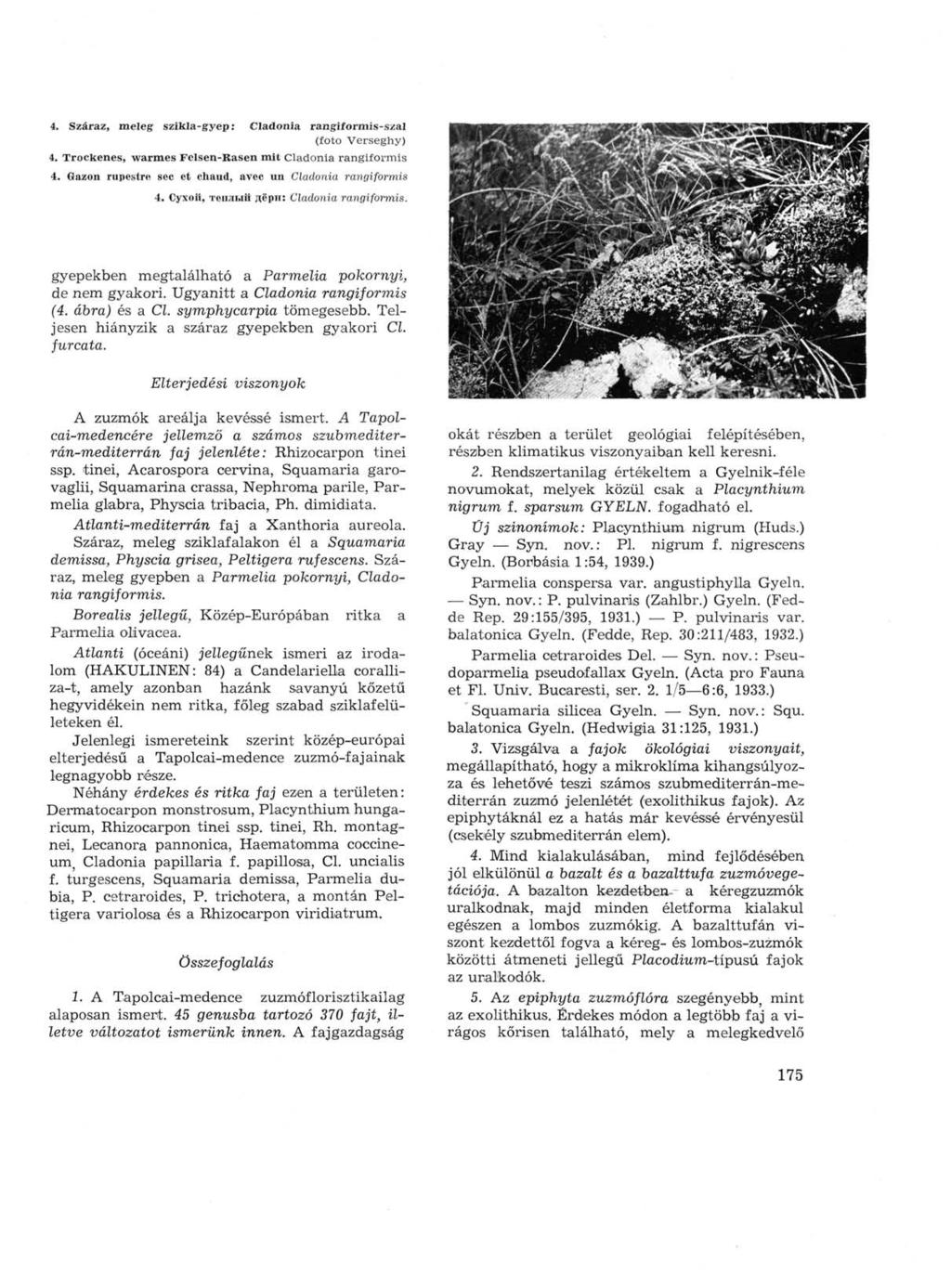4. Száraz, meleg szikla-gyep: Cladonia rangiformis-szal (foto Verseghy) 4. Trockenes, warmes Felsen-Rasen mit Cladonia rangiformis 4. Gazon rupestre sec et chaud, avec un Cladonia rangiformis 4.