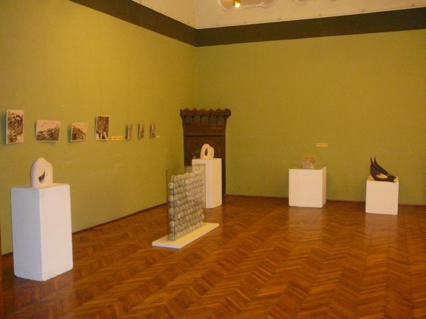 године Галерија је организовала укупно 63 изложбе, четири радионице, два предавања и још осам других пратећих програма. Приказ 29: Број изложби Галерије у периоду од 2006. до 2009.