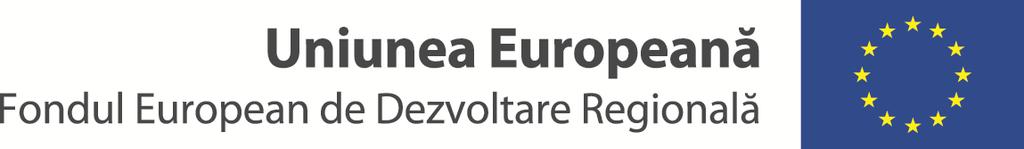 REALIZAREA INOVATIVĂ