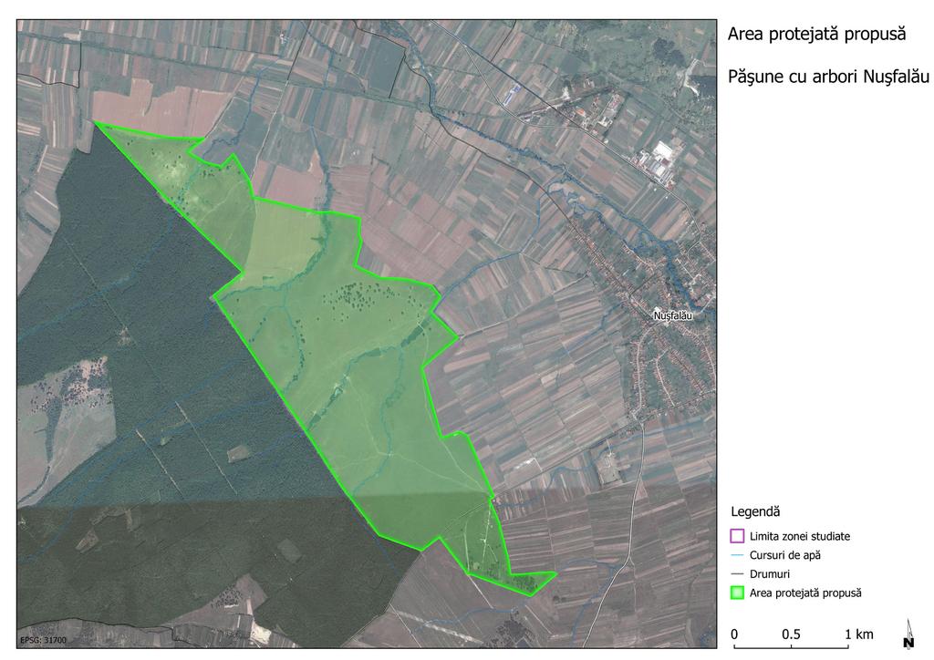 3. Păşune cu arbori bătrâni - Nuşfalău (490 ha) 