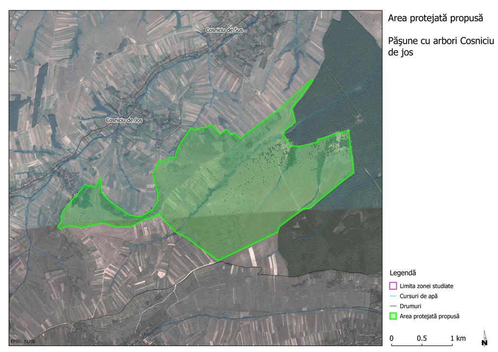 4. Păşune cu arbori bătrâni - Cosniciu de Jos (558 ha) Această arie de lângă Pădurea Lapiș nu beneficiează încă de statut legal de protecție.