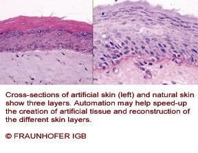 hialuronsav scaffold