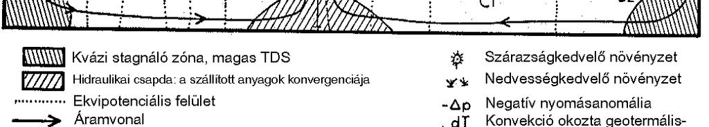 Hi TDS nő növekedés Felszálló vízáramlás területe A hidrogeológiai környezeti +/ Nyomásanomália (Tóth, 1984) +/ viszonyok: Nagy