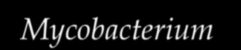 Korai tbc-s