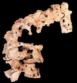 (6-10th c.): Mat.