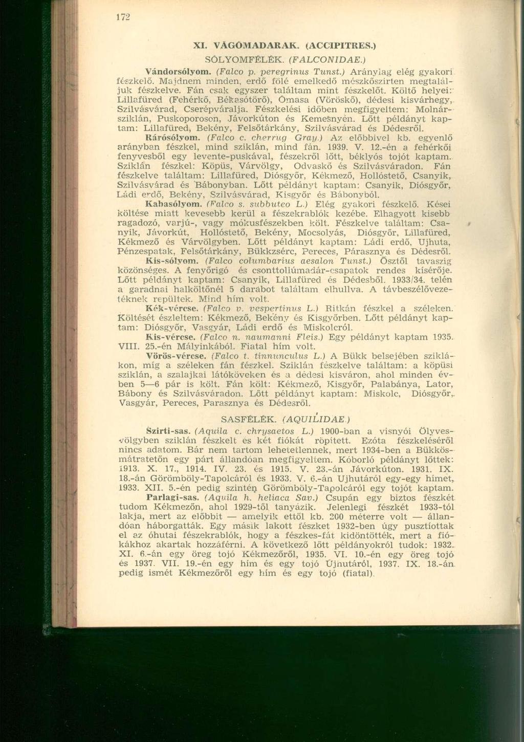 XI. VAGOMADARAK. (ACCIPITRES.) SÓLYOMFÉLÉK. (FALCONIDAE.) Vándorsólyom. (Falco p. peregrinus Tunst.) Aránylag elég gyakori fészkelő.