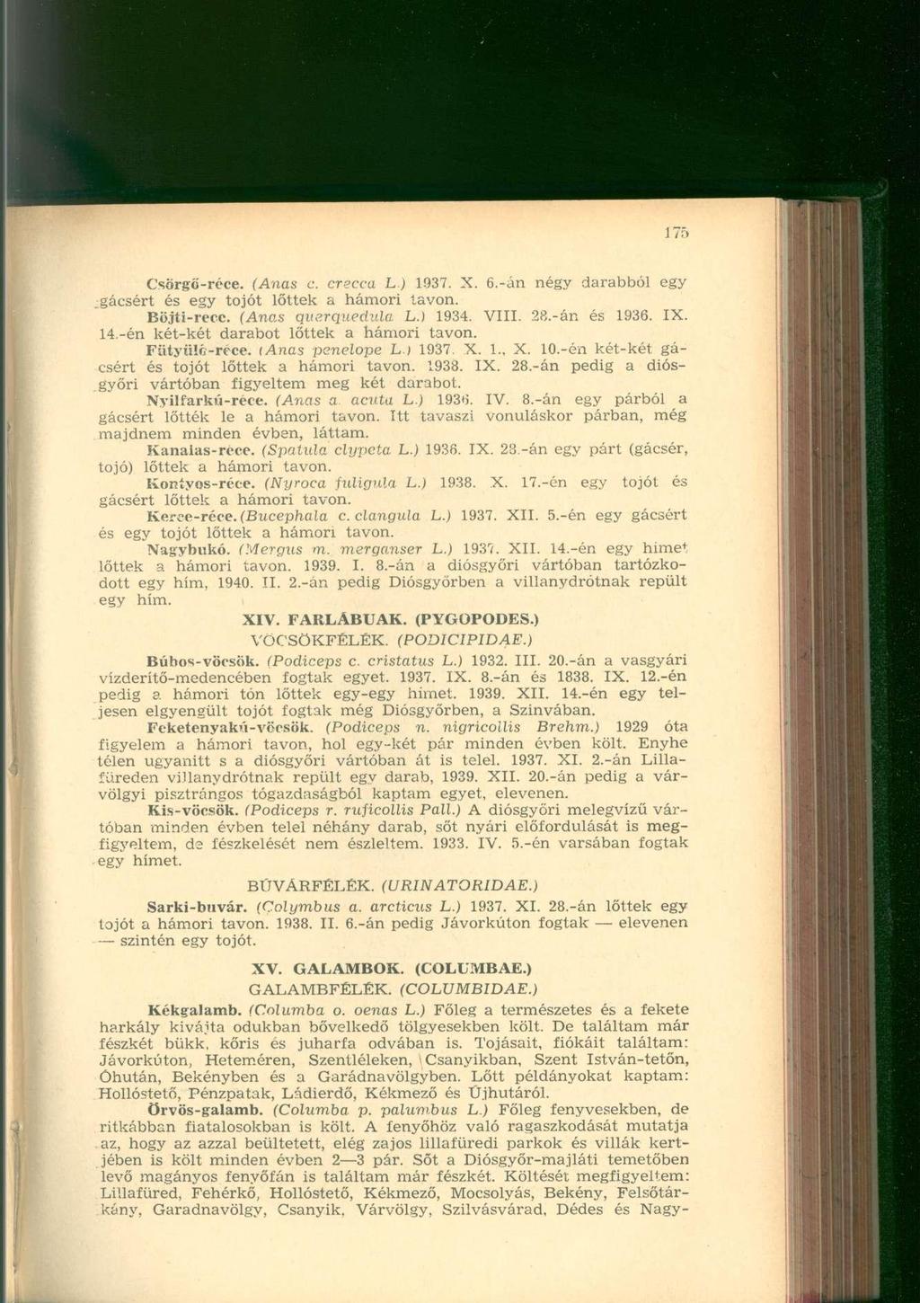 Csörgő-réce. (Anas c. crecca L.) 1937. X. 6.-án négy darabból egy gácsért és egy tojót lőttek a hámori tavon. Böjti-recc. (Anas querquedula L.) 1934. VIII. 28.-án és 1936. IX. 14.