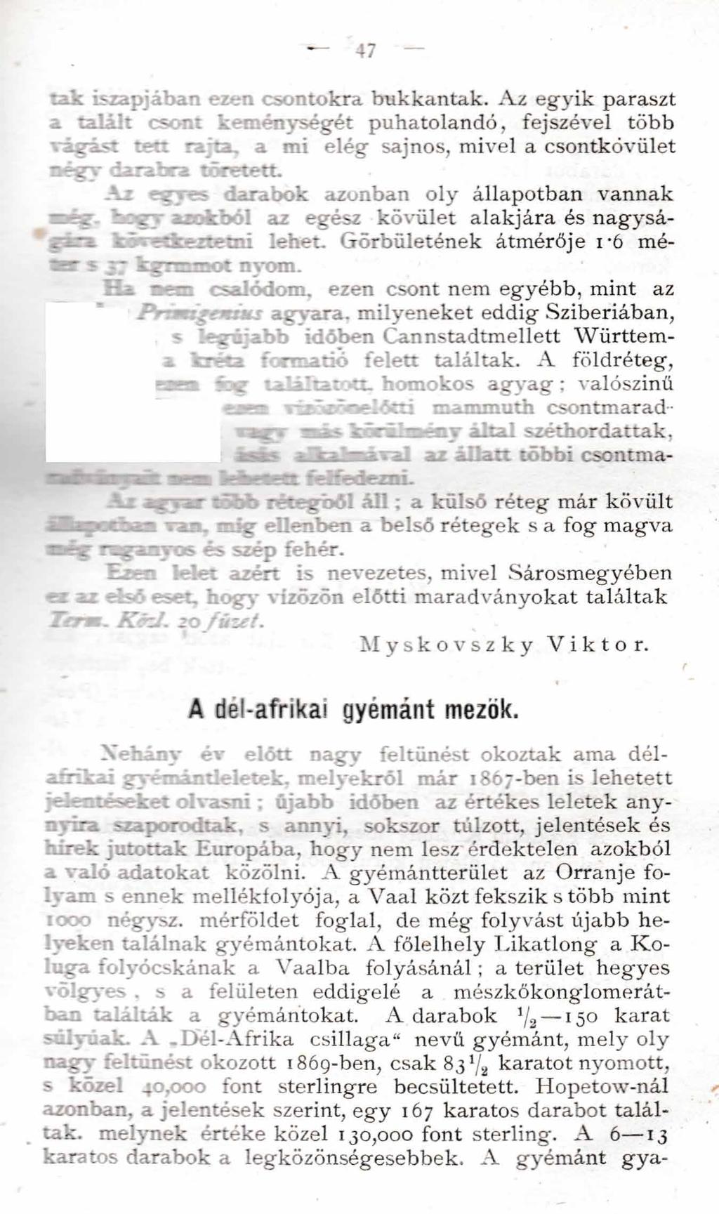 47 ta k iszapjában ezen csontokra bukkantak.