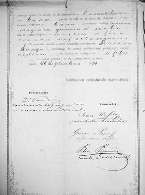 S-a stins din viață în 1917, la patru ani după decesul soției, la vârsta de 87 de ani, fiind înmormântat la Timişoara, în cimitirul din Calea Buziaşului 33.
