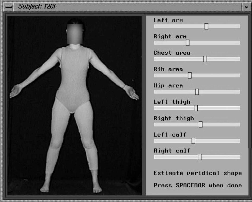 Számítógép-alapú testképvizsgáló eljárások 337 4. ábra. A Body-Shape Software kezelõfelülete (Tovée és mtsai, 2003) módszert.