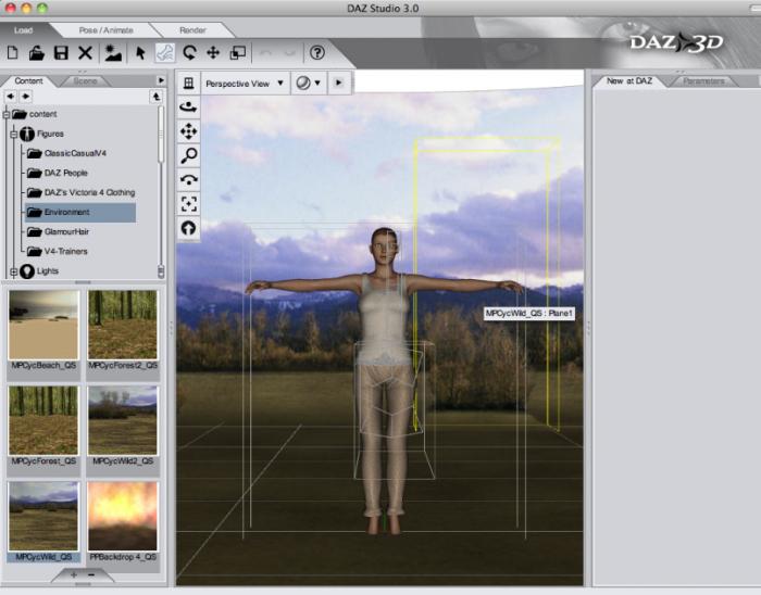 Számítógép-alapú testképvizsgáló eljárások 343 7. ábra. A DAZ Studio program mûködése kezdeményezni annak megállapítására, hogy melyek a redundáns módosítási pontok.