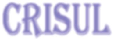 Acesta urma să fie utilizat ca sediu al Judecătoriei Chișineu-Criș. Deși sumele necesare reamenajării imobilului au fost alocate, începutul lunii septembrie găsește proiectul nefinalizat.