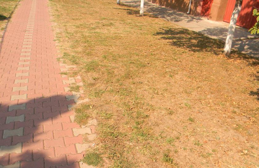 Sunt zile în care nu recunosc nimic din ceea ce ştiam de câţiva ani, de parcă orașul, sătul de propria-i letargie, se ridică peste oameni, peste zilele şi anii ce trec într-o continuă şi sterilă