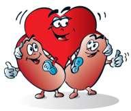 Hypertension, 2003, 42: 1050-1065 Gyógyítsd a vesét,