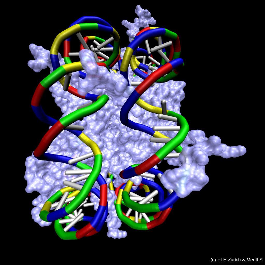 Érdekes nano-rendszerek ow to safely store genetic material: cable reels in the cell nucleus... Legend: The nucleosome ucleosomes are cable reels for genetic material.