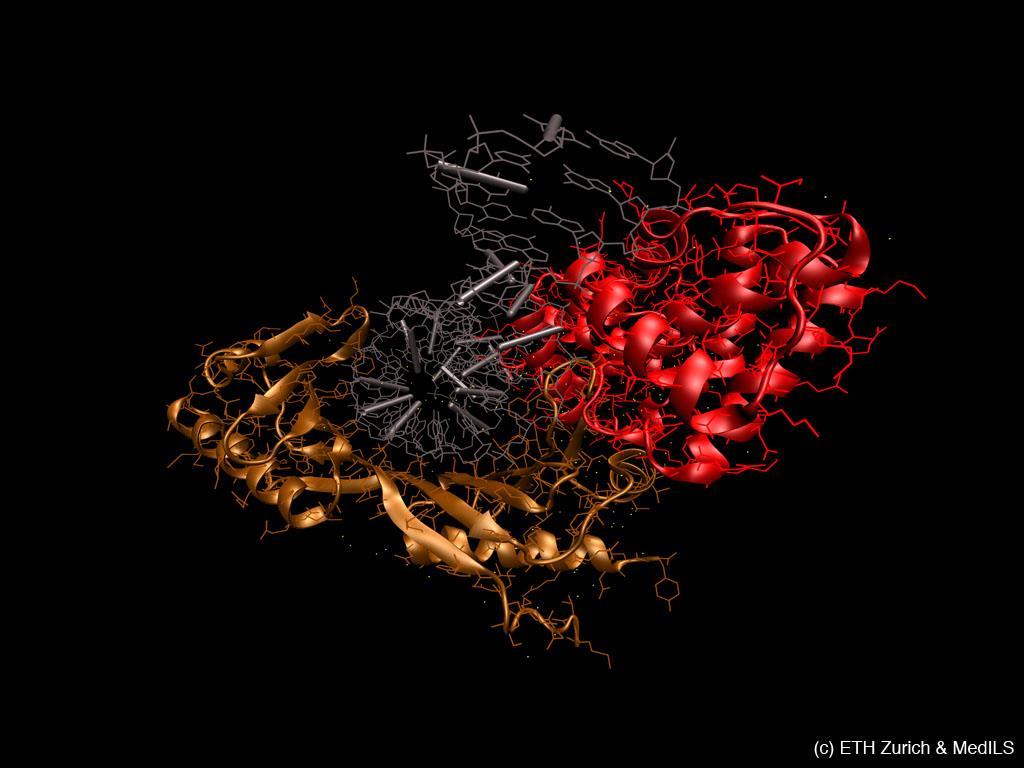 Érdekes nano-rendszerek DA is long where does a gene begin and how to find it?