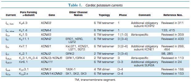A szív K+ csatornái, áramai, alegységei, génjei, Ezt a nomenklatúrát a International Union of Basic and Clinical