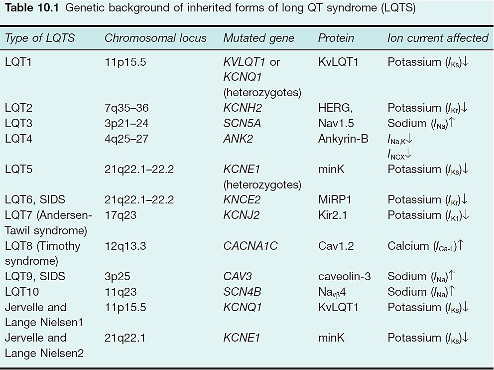 LQT Szindrómában érintett K+