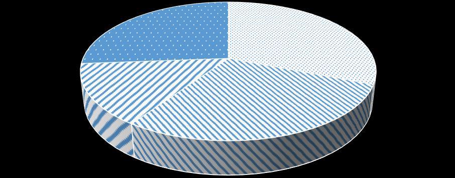 9 tanácsnoki tisztségeket a Péchy család, valamint Mészáros Lukács és Kilián tartotta a kezében, Péchy János, aki szabó volt, háromszor volt tanácsos, Péchy Pál ötvös ugyancsak három alkalommal