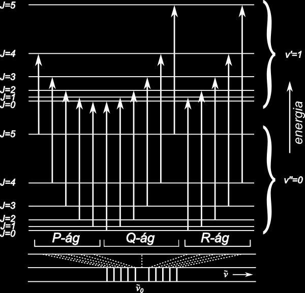 ábra): ( T (v, J) = ν 0 v + 1 ) + B v J(J + 1)!
