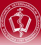 Szent István Egyetem Állatorvos-tudományi Kar Biomatematikai és Számítástechnikai Tanszék Biomatematika 4.