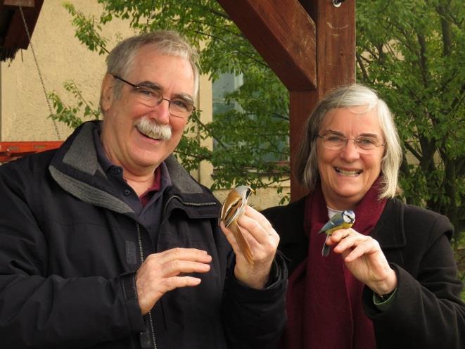 The season of 5 was closed by a demonstration ringing as part of the Crane Festival of Fehér-tó.