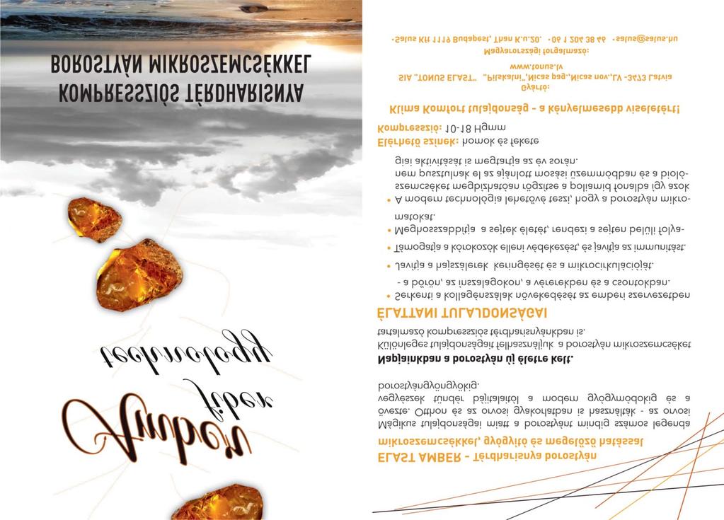 ÉRBETEGSÉGEK THE HUNGARIAN JOURNAL OF VASCULAR DISEASES A Magyar Angiológiai és Érsebészeti Társaság, valamint a Magyar Cardiovascularis és Intervenciós Radiológiai Társaság tudományos folyóirata
