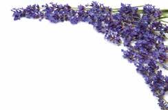 SPECIALISTUL RĂSPUNDE Sfaturi sănătoase de la Sensiblu ADRIAN CHIPER*: Am tenul gras, cu tendință acneică, și aș dori să știu ce produse îmi recomandați pentru îngrijirea