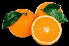 Metode profilactice de creștere a imunității pe termen îndelungat ar fi perioade de cure anuale cu: Vitamina C sub formă naturală obținută