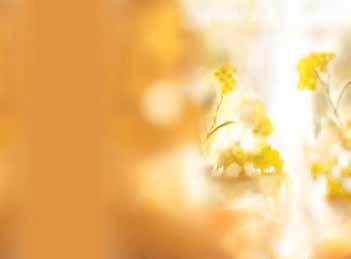 OXYANCE ȘERVEȚELE DEMACHIANTE APIVITA ROSE SERUM Cu o formulă adaptată ph-ului natural al pielii, aceste șervețele demachiante curăță eficient