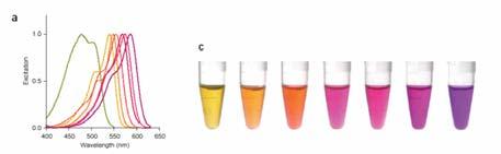 Kémiai módosításokkal egy alapvegyület abszorpciója és emissziója hangolható! Extrinsic (külső) fluorofórok - fluoreszcens festékek A jelölő kémiai anyagok minősége és elhelyezkedése tervezhető.
