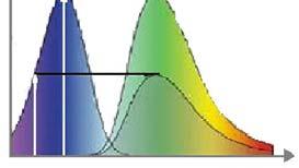 A fluoreszcencia élettartam KIEGÉSZÍTÉS Fluoreszcencia lecsengési görbe A fluorofórok sajátsága, jele: Fény-anyag kölcsönhatás: hullámhossz - szintek Emisszió típusok tulajdonságai Indukált A