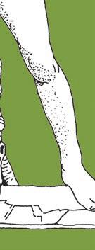 Reneszánsz művészet A tökéletes szobrok Donatello: Dávid (1430 1440), bronz, 158 cm, Firenze, Museo Nazionale Verrocchio: Dávid (1473 1475), 475), bronz, 124 cm, Firenze, Museo del Bargello A