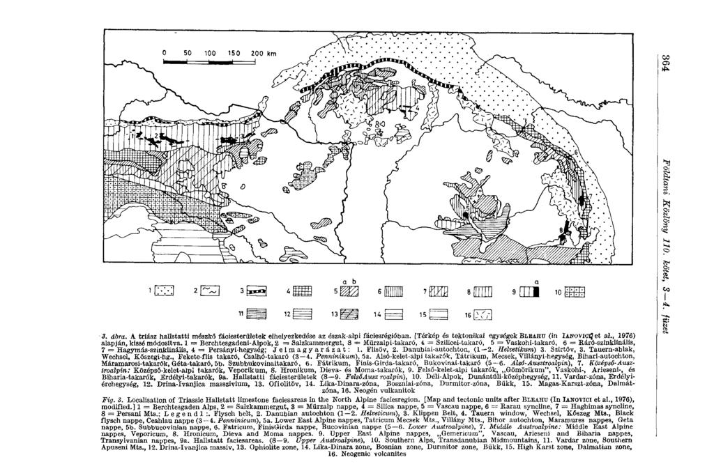 3. ábra. A triász hallstatti mészkő fáciesterületek elhelyezkedése az észak-alpi fáciesrégióban. [Térkép és tektonikai egységek BLEAHF (in ianovlcljet aï., 1976) alapján, kissé módosítva.