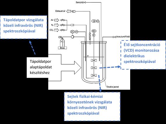 1. Bevezetés és kutatási célok Doktori kutatómunkám során a nagy gyógyszeripari jelentőségű, monoklonális antitesteket (monoclonal antibody, mab) termelő, kínai hörcsög petefészek (Chinese hamster