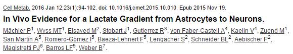 - genetically encoded FRET sensor Laconic in vivo imaging Astrocytes and neurons accumulate intravenously applied L- lactate Astrocytes maintain