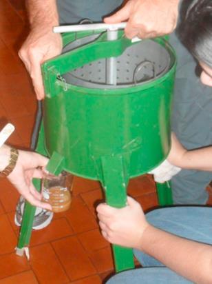 3. ábra Főzött halmaradványok sajtolása. Error! Reference source not found. A folyékony komponens abban az állapotában nyersolajat és vizet tartalmazott.