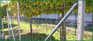 Kitámasztó oszlop fém kerítésoszlophoz Egyenes kerítésszakaszon minden hatodik oszlopot egyenes kitámasztó párral kell megtámasztani.