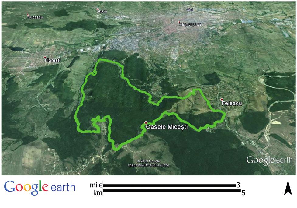 Cluj (Harta de bază: GoogleEarth). Fig.