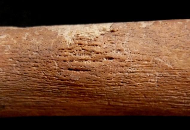pályázatának támogatásával készült. Irodalom AUFERHEIDE, A. C. RODRÍGUEZ-MARTIN, C. (1998): The Cambridge Encylopedia of Human Paleopathology. Cambridge University Press. Cambridge. BALÁZS, J.