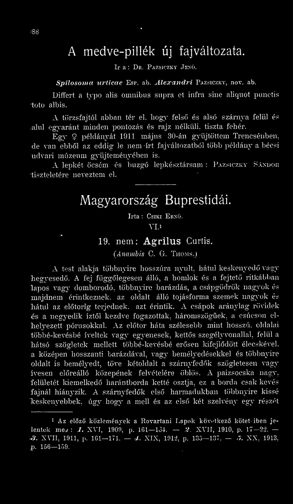de van ebbl az eddig le nem -írt fajváltozatból több ]iéldány a bécsi udvari múzeum gyjteményében is. A lepkét öcsém és buzgó le2:)késztársam : Paz.-^iczkv S.áxdoi; neveztem el.