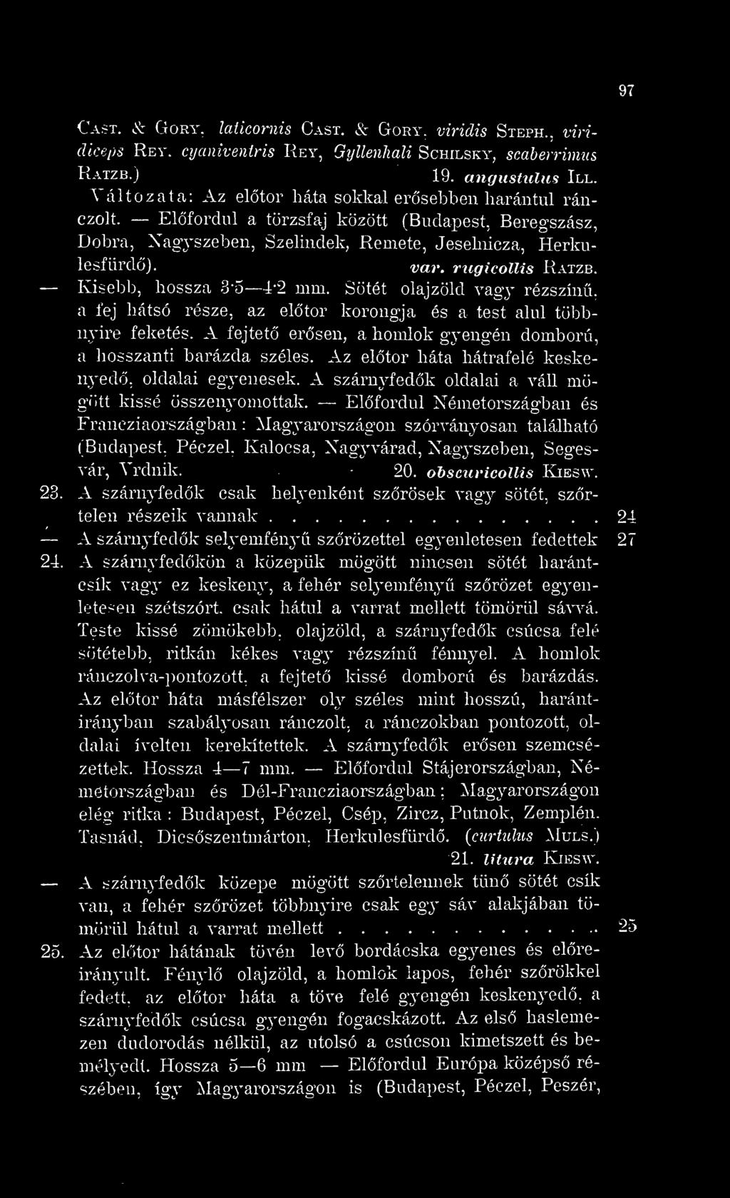 Kisebb, hossza S'o 4-2 mm. Sötét olajzöld vagj rézszín, a fej hátsó része, az eltör korongja és a test alul többnyire feketés. A fejtet ersen, a homlok gyengén domború, a hosszanti barázda széles.