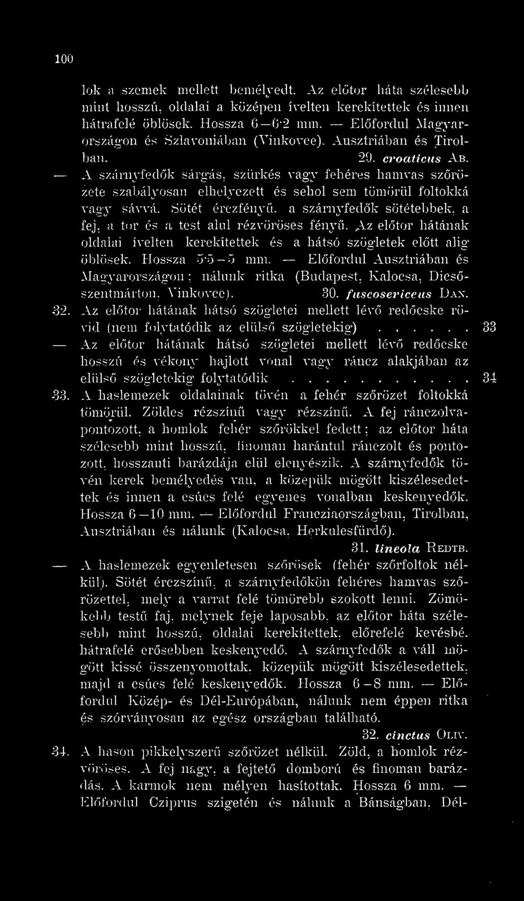 A szárnyfedk sárgás, szürkés vagy fehéres hamvas szrözete szal^ályosan elhelyezett és sehol sem tömörül foltoklcá vagy sávvá.