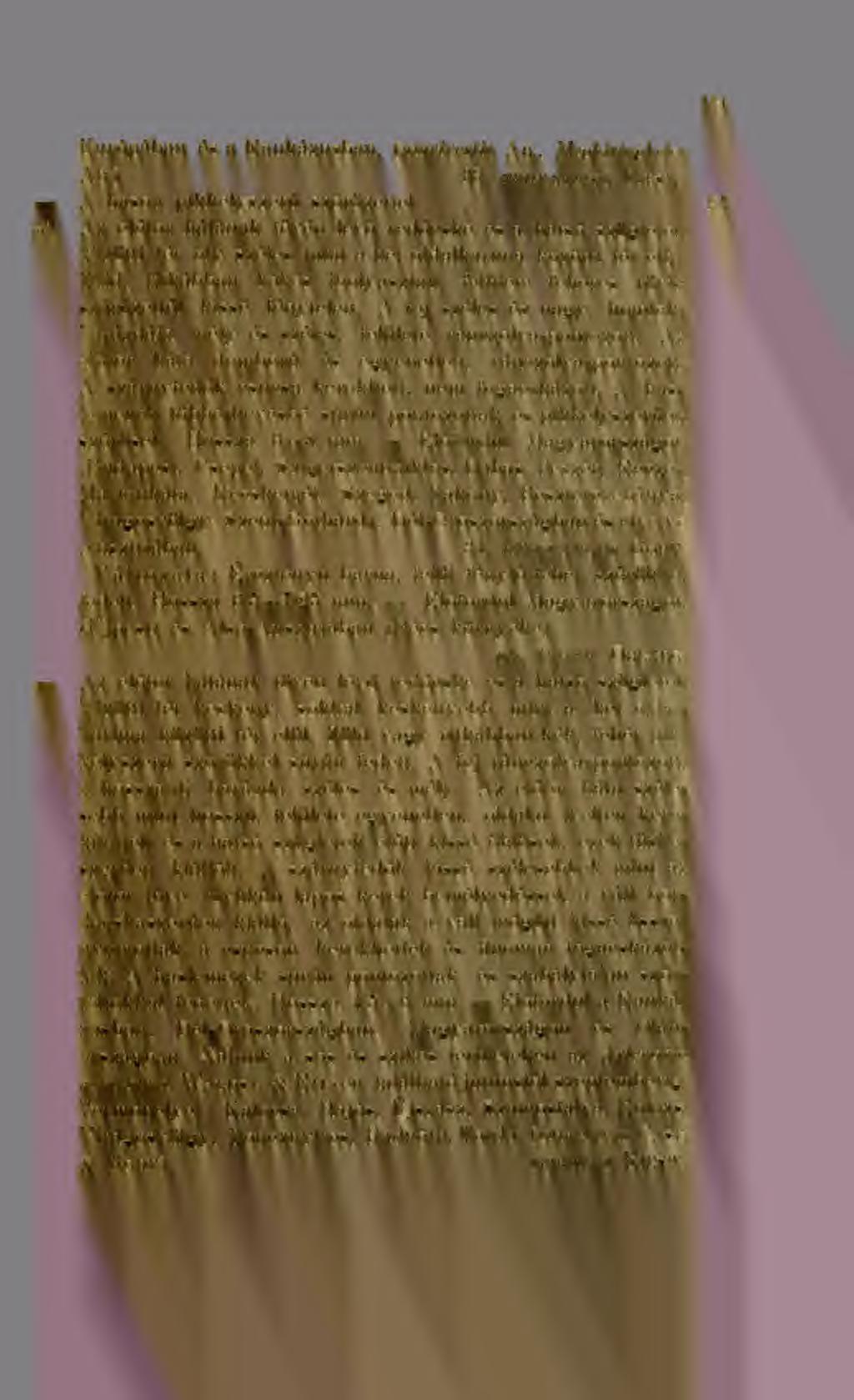 101 Európában és a Kaukázusiján, (nigrivestis Ab., MepMsloplieles Ab.) 33. grandiceps Kiesw.