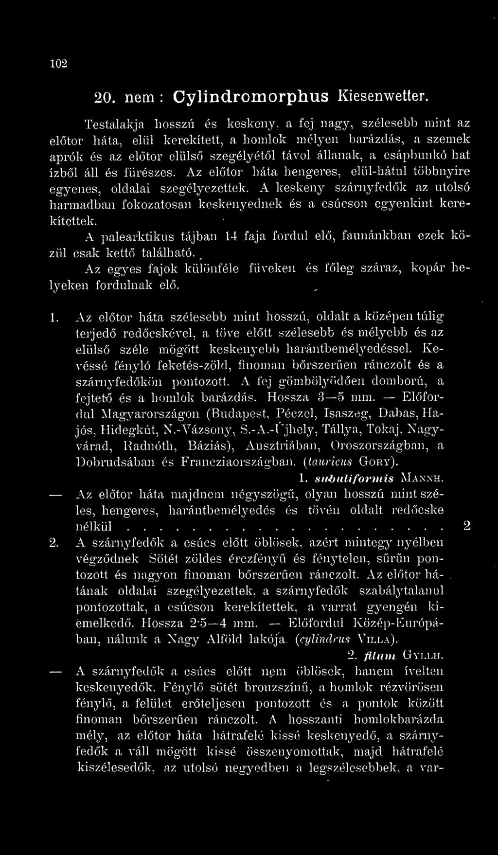 1, Az eltör háta szélesebb mint hosszú, oldalt a középen túhg terjed redcskével, a töve eltt szélesebb és mélyebb és az elüls széle mögött keskenyebb harántbemétyedéssel.