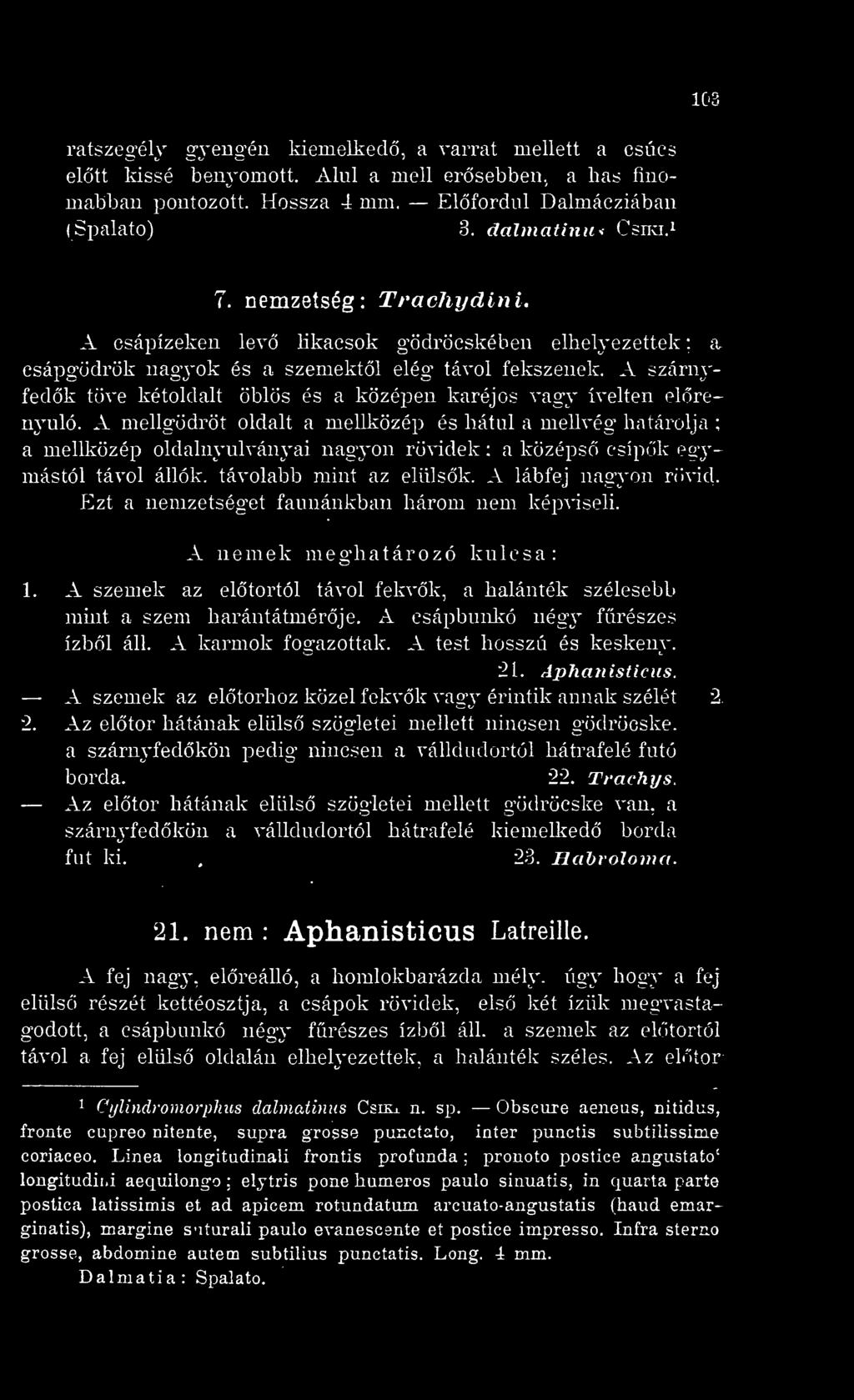 A szárnyfedk töve kétoldalt öblös és a középen karéjos vagy ívelten elrenyúló.