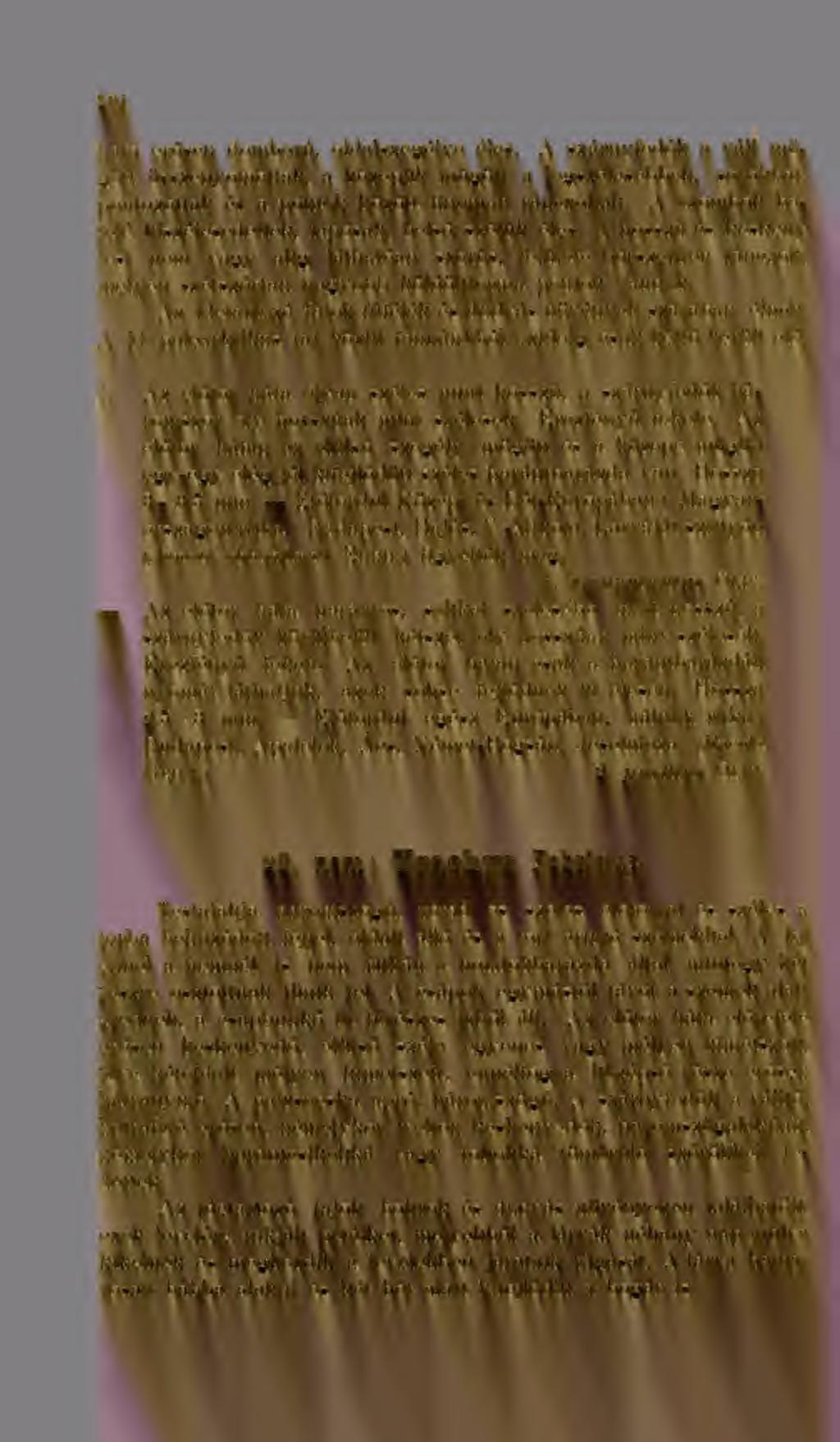 104 háta ersen domború, oklalszegélye éles. A szárnyfedk a váll mögött összenyomottak, a közepük mögött a legszélesebbek, sorokban 2)ontozottak és a pontok között finoman ránczoltak.