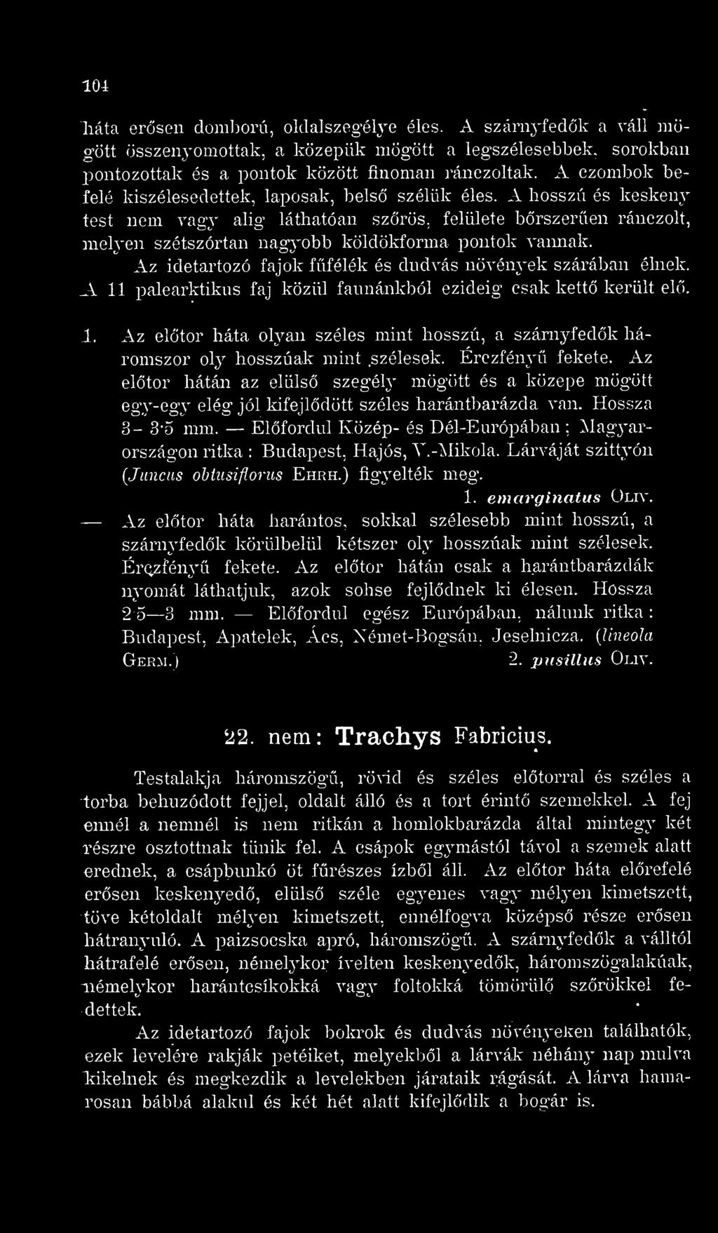 Az idetartozó fajok ffélék és dudvás növények szárában élnek. A 11 jialearktikus faj közül faunánkból ezideig csak kett került el. 1. Az eltör háta olyan széles mint hosszú, a szárnyfedk háromszor oly hosszúak mint.