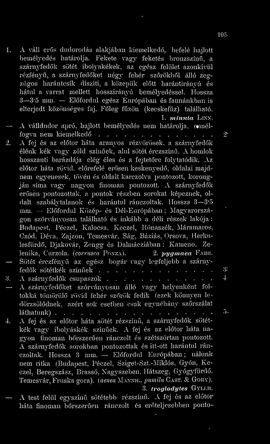 A homlok hosszanti barázdája elég éles és a fejtetre folytatódik. Az eltör háta rövid, elrefelé ersen keskem^ed, oldalai m?
